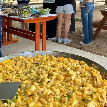 Mobile-home 4 Pers Avec Terrasse - Api-1-52-1706 *