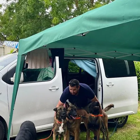 Mobile-home 4 Pers Avec Terrasse - Api-1-52-1706 *